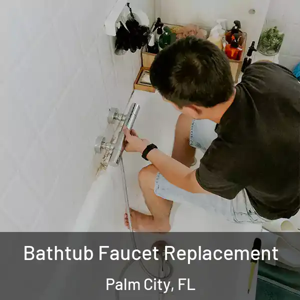  Bathtub Faucet Replacement Palm City, FL