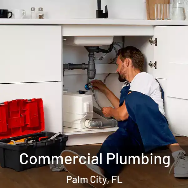  Commercial Plumbing Palm City, FL