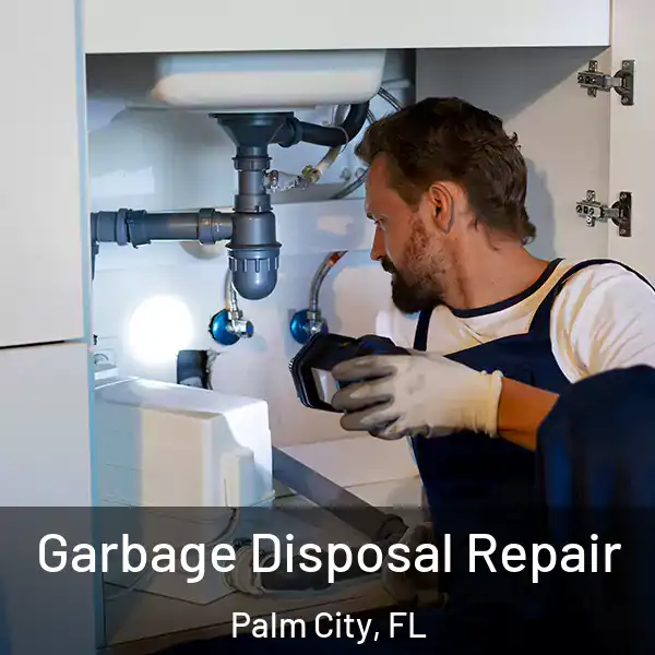  Garbage Disposal Repair Palm City, FL