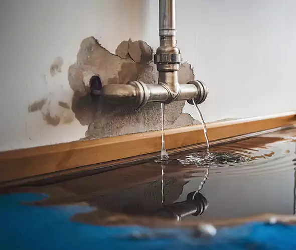 Professional Water Damage Restoration Experts in Palm City, FL — Fast, Reliable & Certified