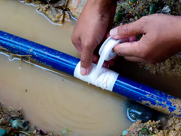  Why Choose Palm City Plumbers for Leak Detection in Palm City, FL?]