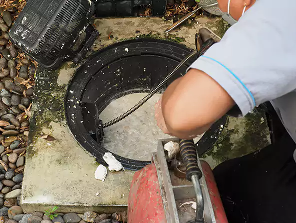 Why Choose Palm City Plumbers for Sewer Line Cleaning in Palm City, FL?