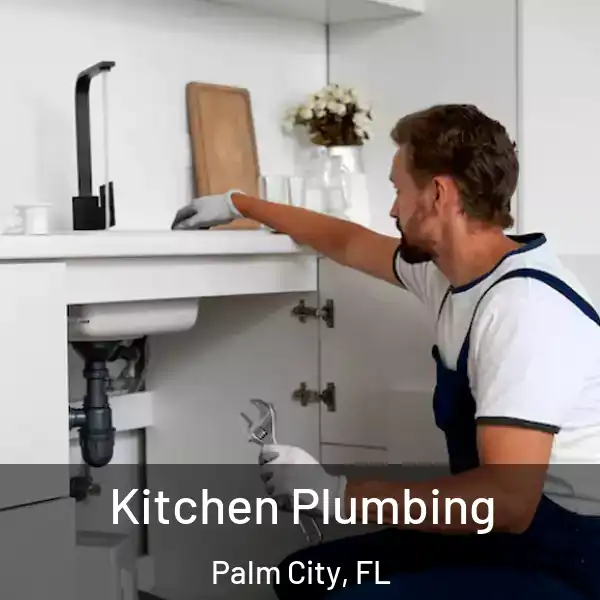  Kitchen Plumbing Palm City, FL