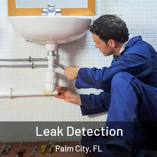  Leak Detection Palm City, FL