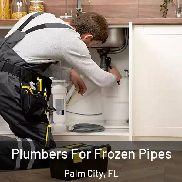  Plumbers For Frozen Pipes Palm City, FL