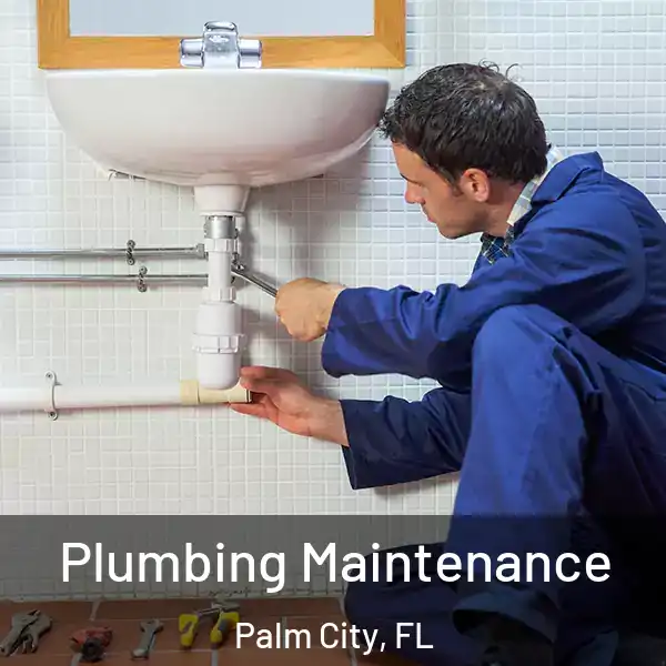  Plumbing Maintenance Palm City, FL