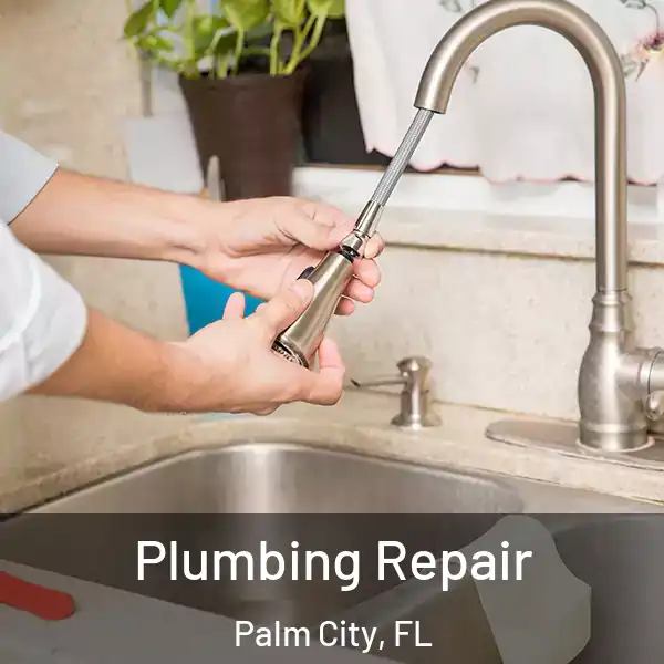  Plumbing Repair Palm City, FL