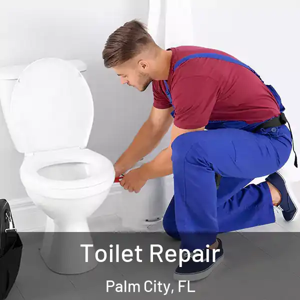  Toilet Repair Palm City, FL