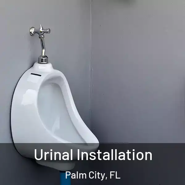  Urinal Installation Palm City, FL