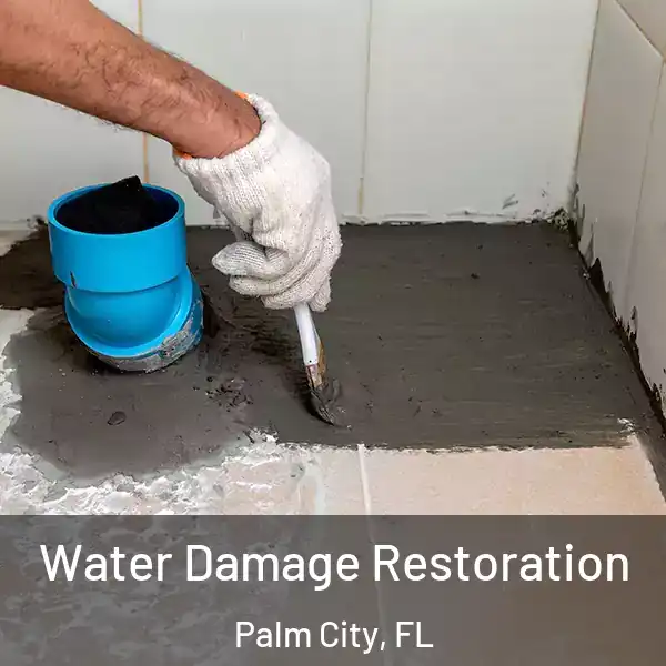  Water Damage Restoration Palm City, FL