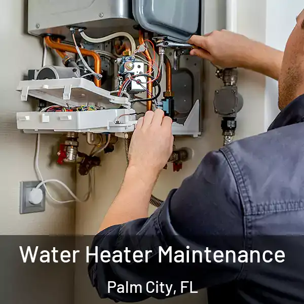  Water Heater Maintenance Palm City, FL