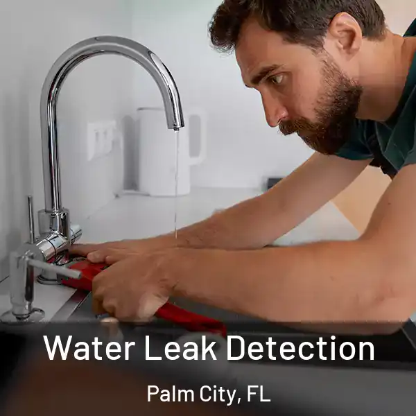  Water Leak Detection Palm City, FL